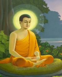 Phật Học Vấn Đáp (TVHS)